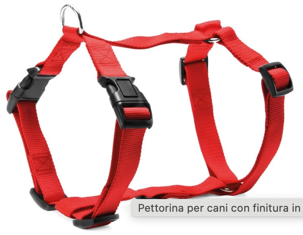 PETTORINA S ROSSA - RECORD